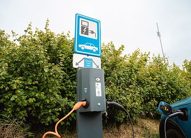 Safaritent aan de Nederlandse kust - 21