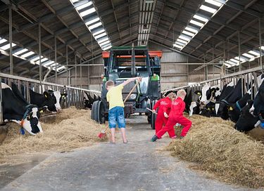 Glamping auf der Dairy & Calf Farm - 6