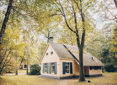 Bungalow mit Kinderkastenbett