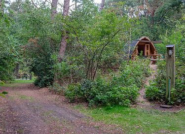 Gemütliche Gondel in den Wäldern von Drenthe - 6