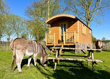 Knusse woonwagen op het Belgische platteland