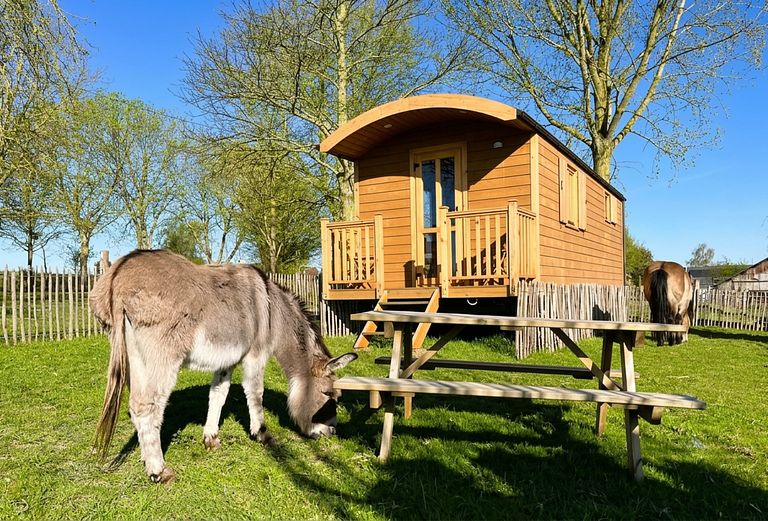 Hyggelig campingvogn på den belgiske landsbygd - 1