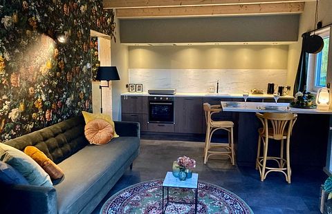 Tiny House in Friesland with its own hot tub - 2