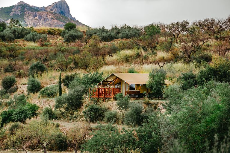 Prachtig gelegen luxe glamping safaritent  - 1