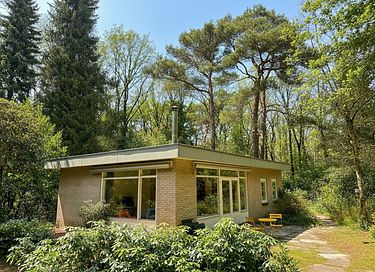 Waldhaus in Drenthe mit Kamin und großem Garten - 6