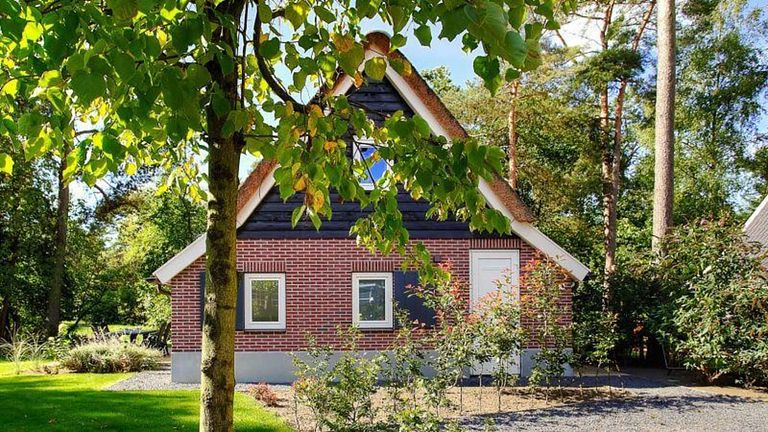6-persoons vakantiehuis op de Veluwe - 1