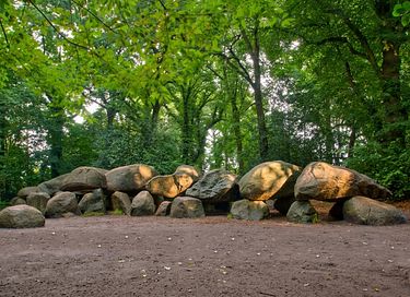 Lodge dans les bois avec bain à remous privé à Drenthe - 32