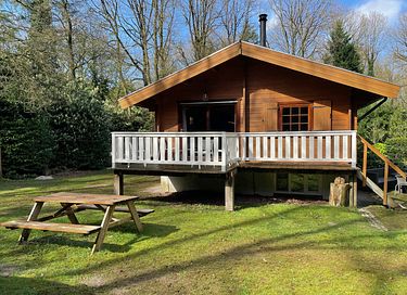 Finse bungalow met sauna & hottub in het bos - 18