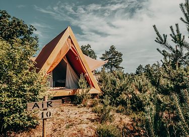 Tweepersoonstent op glamping op de Veluwe  - 1
