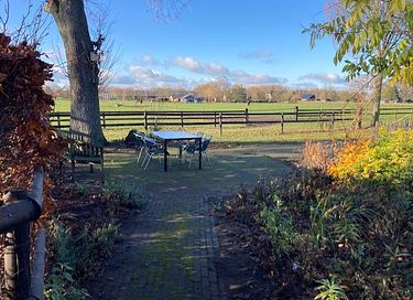 Overnachten op een westernpaarden fokkerij - 5
