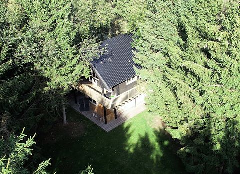Unique tree house in Drenthe - 2