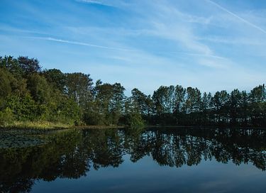 Sterren kijken vanuit je bed in deze glamping - 9