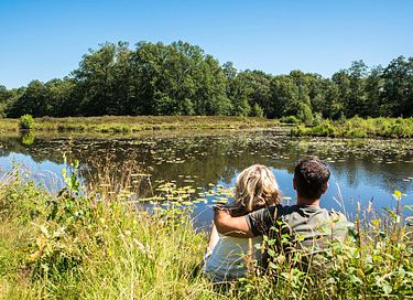 Comfortabel natuurhuisje met eigen sauna - 24