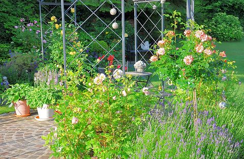 Ferielejlighed med balkon og rosenhave - 2