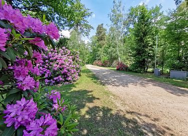Lodge romantique dans la forêt pour 2 personnes - 10