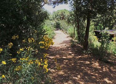 Gästehaus mit Meerblick, Küste von Barcelona - 31