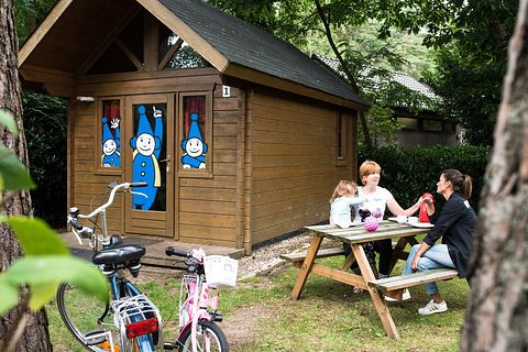 Cabane de randonneur pour 4 personnes en Campine belge - 5