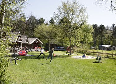 Cottage op een gezellige camping in Brabant - 10