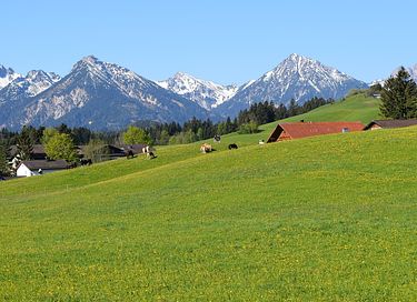 Bubble-Zelt mit atemberaubender Aussicht - 12