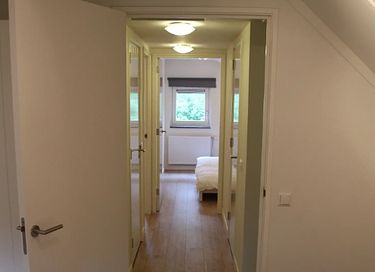 Vebena-Wald 34 - 9