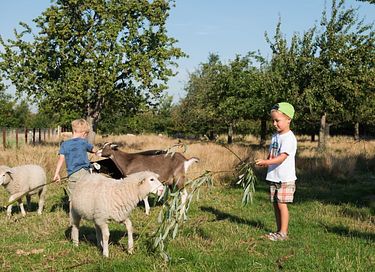 Glamping auf einem Ackerbauernhof - 5
