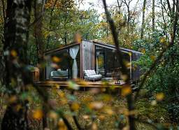 Forest cabin