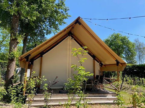 Luxury glamping tent (4p) on the Veluwe - 3