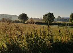 Limbourg