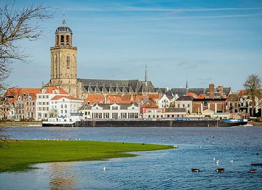 Petite maison de campagne avec cabine de douche près de Deventer - 43