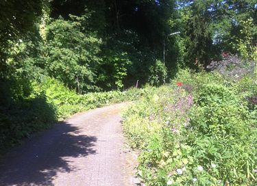 Prachtig natuurhuisje als in een sprookje - 17