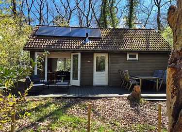 Maison dans la forêt avec sauna à Vechtdal - 18