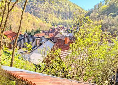 abin with a large gardenin the Harz Mountains - 3