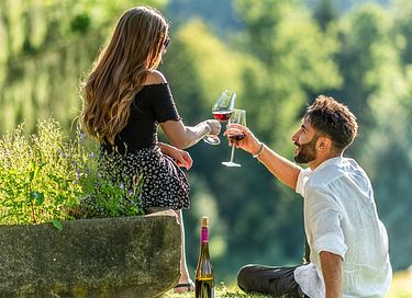 Vakantiehuis voor 2 personen met wellness  - 16