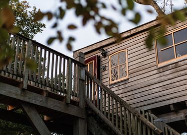L'arbre a cabane avec un balcon dans un environnement naturel - 20