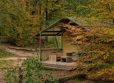 Geräumiges Glampingzelt (7p) im Wald - 6