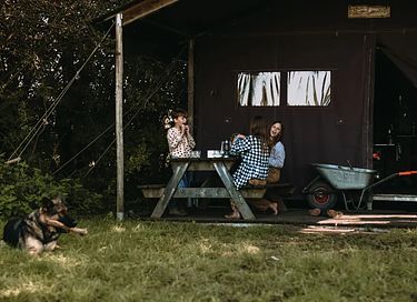 Zelt-Ferienhaus auf einem Milchviehbetrieb in der Betuwe