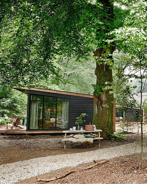 Beautiful forest cabin in small vacation park - 4