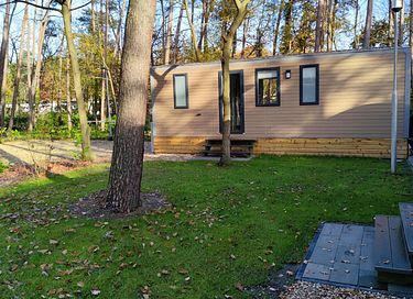 Nuitée en forêt avec sauna et jacuzzi - 10