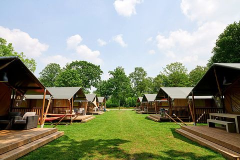 Glamping op familiecamping in Utrecht  - 4
