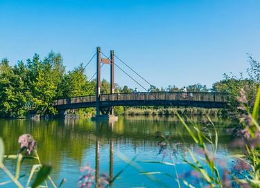 Holiday home in the Belgian Kempen region - 30