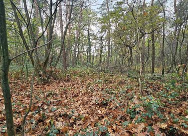 Cabane en rondins robuste (8 personnes) dans la forêt - 20