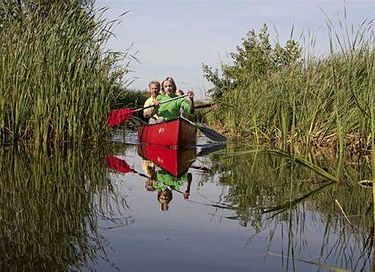 Leuke blauwe pipowagen bij natuurgebied - 13