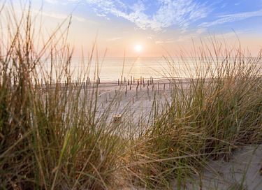 Charming stay on the Dutch coast - 29