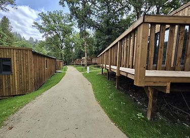 Wooden lodge in the Ardennes (dog welcome) - 15