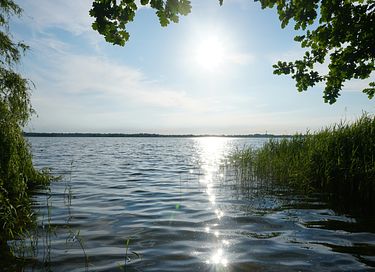 Island bungalow at the Loosdrecht lakes - 22