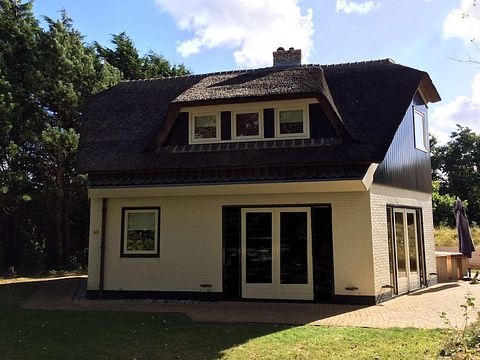 Forest cabin on Texel (8p) - 3