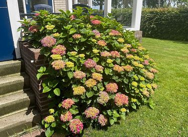 Moderne Ferienwohnung mit großem Garten - 26