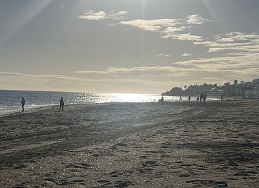 Luxury apartment near Málaga and by the sea - 44