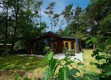 Luxury 6-person holiday home in Drenthe - 10