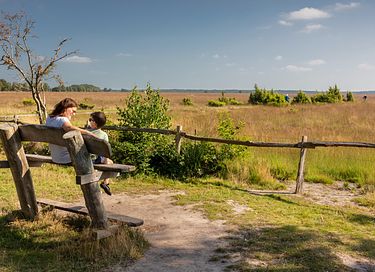 Lodge with hot tub in the Drenthe countryside - 24